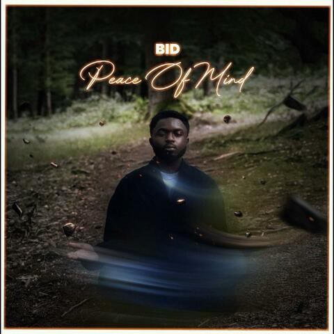 Peace of Mind album art