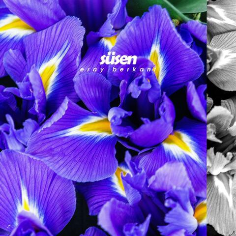 Süsen album art