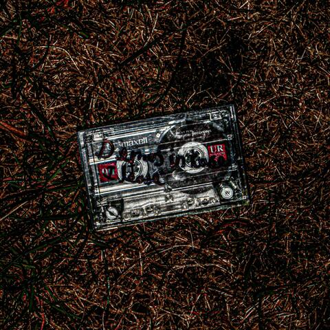 demos in case i leave album art