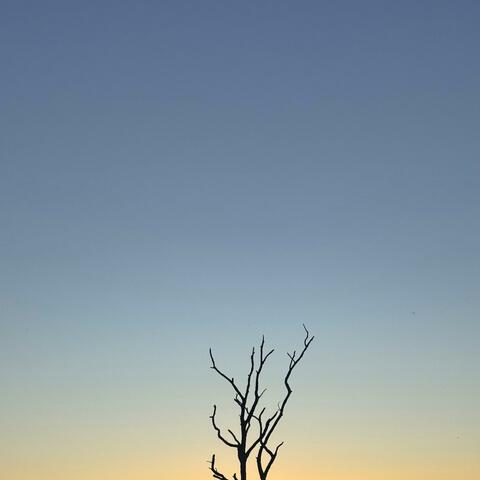 Secret Service album art