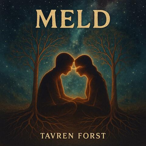 Meld album art