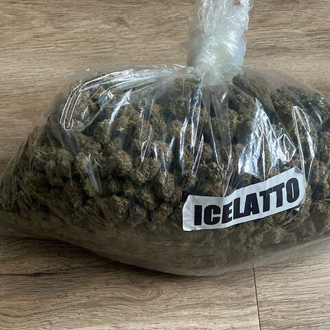 Trap Musik (feat. 30) album art