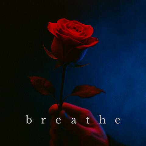 b r e a t h e album art