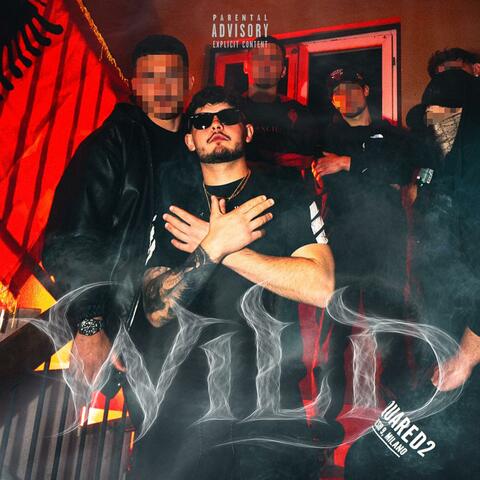 WILD album art