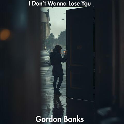 I Don't Wanna Lose You album art