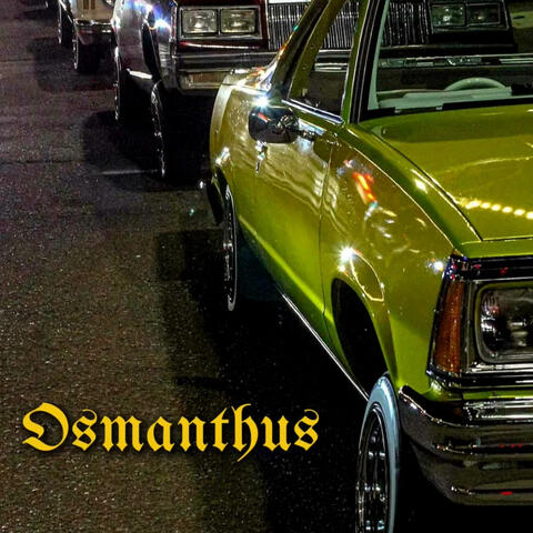 505 going live album art