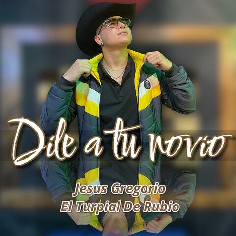 Dile a tu novio album art