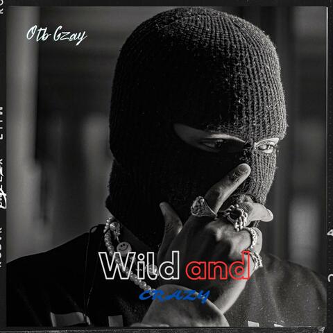 Wild and Crazy album art