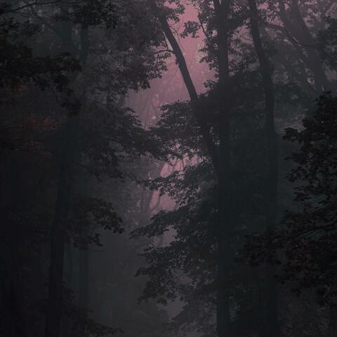 haze album art