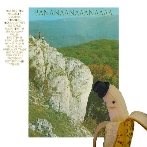 baaanananaaa album art