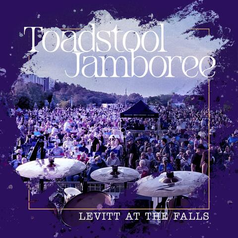 Levitt at the Falls-A Live Album album art