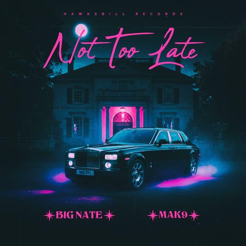 Not Too Late (feat. Mak 9) album art