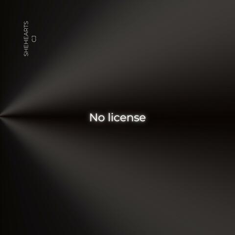 No license album art