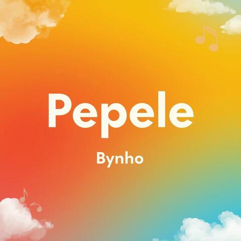 Pepele album art