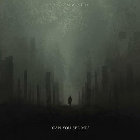 Can You See Me album art