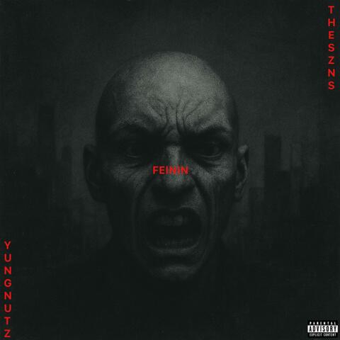 FEININ (feat. The Szns) album art