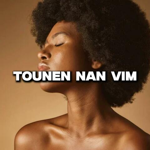 TOUNEN NAN VIM.. album art