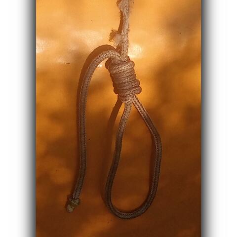Suicide album art