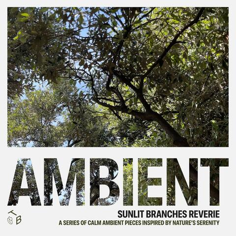 Sunlit Branches Reverie album art
