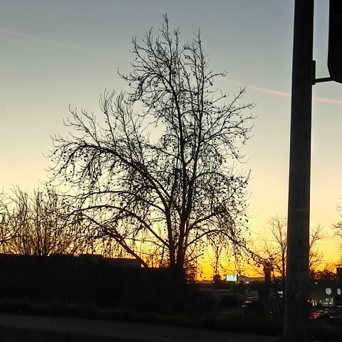 Floaty Feeling album art