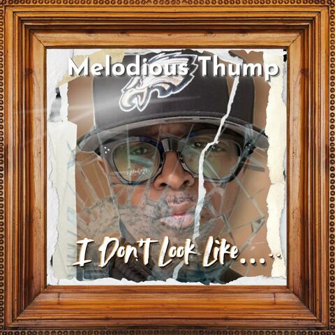 I Don't Look Like... album art