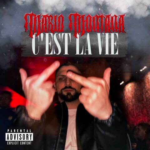 C'est la vie album art