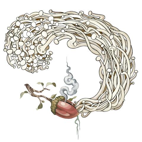 Nooch Deuce album art