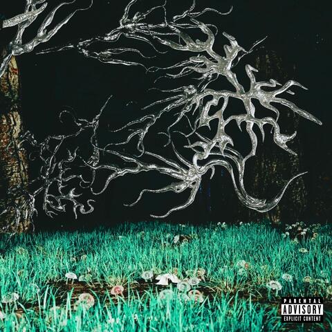 money & drgs (feat. Jayx) album art