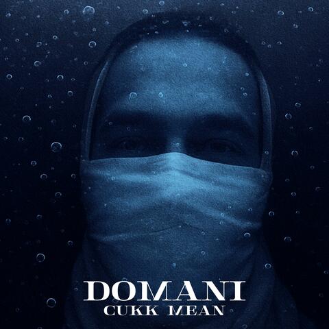 Domani album art