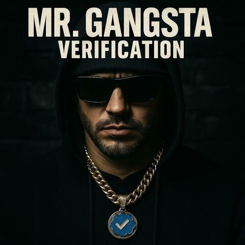 VERIFICATION album art