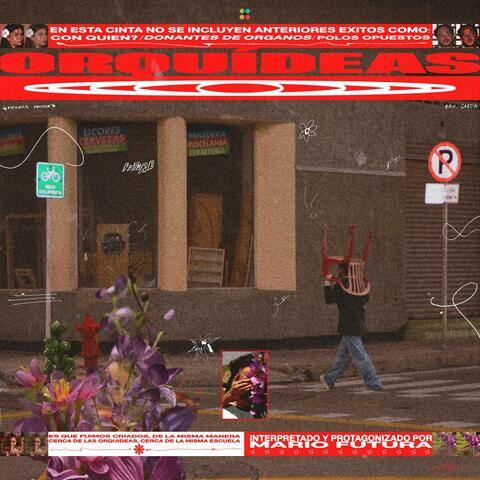 Orquídeas album art