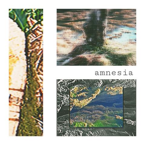 amnesia (feat. shivers) album art