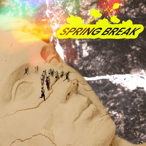 Hunting Down (the Birds) album art