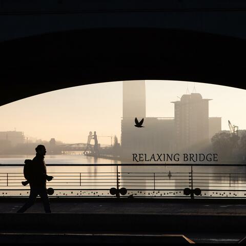 Relaxing Bridge album art