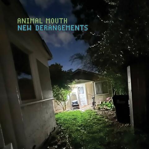 New Derangements album art