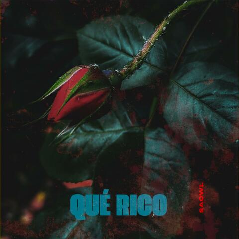 Qué Rico album art
