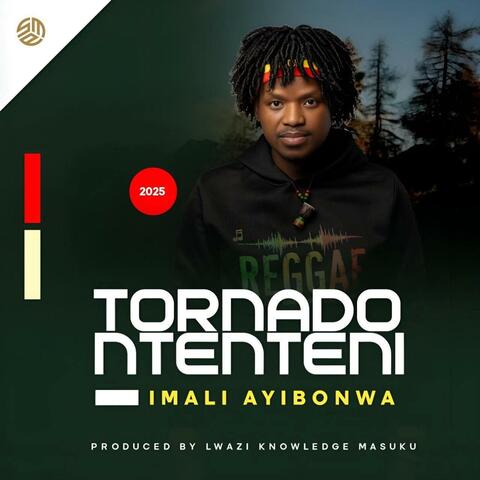 Imali ayibonwa album art