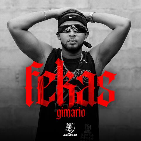 Fekas album art