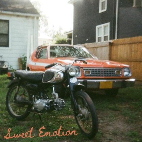 Sweet Emotion album art