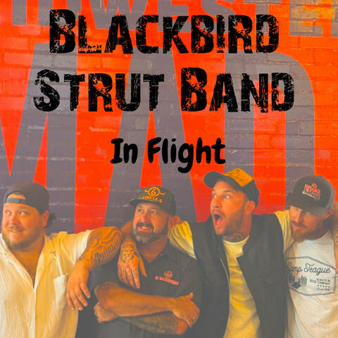 In Flight album art