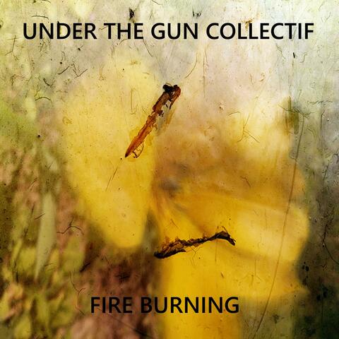 Fire Burning album art