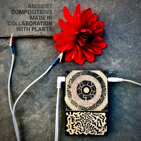 Biosonification album art