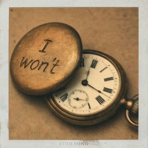 I Won't album art