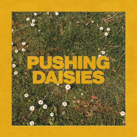 Pushing Daisies album art