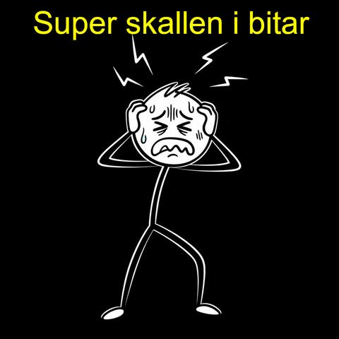 Super skallen i bitar album art