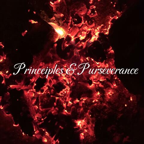 Princeiples & Purseverance album art