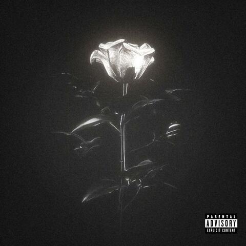 Herşeyi Mahvettin album art