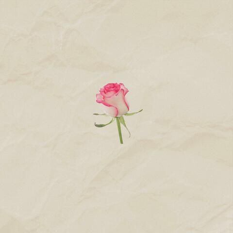 the day you came in my life album art