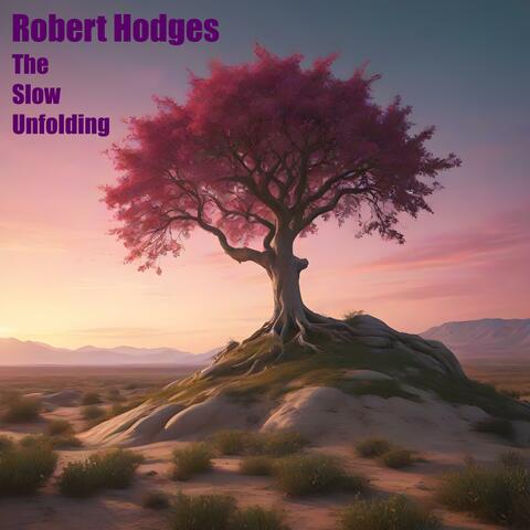 The Slow Unfolding album art