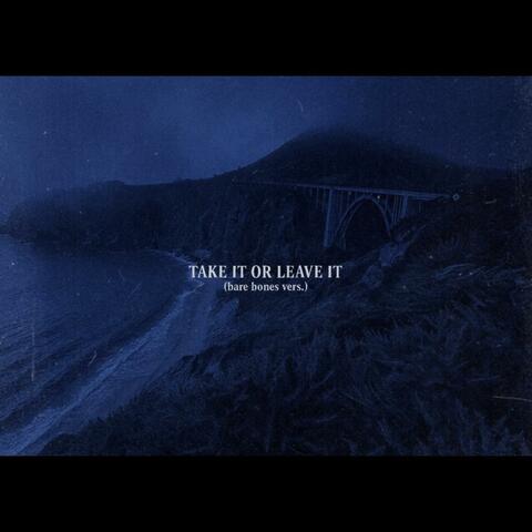 Take It or Leave It (bare bones vers.) album art